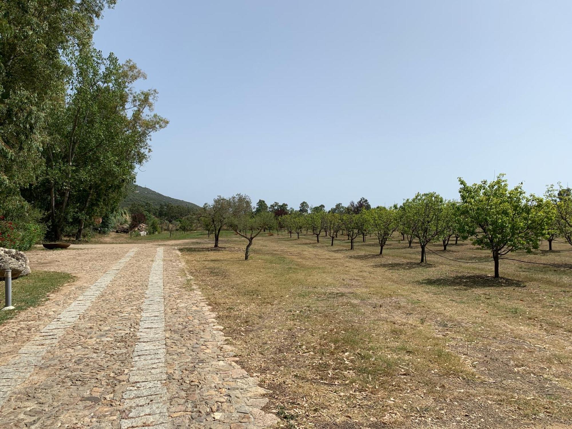 Villa Relais BeneMari Siniscola Exterior foto